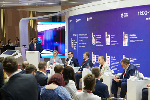 Cluster approach to industrial development in SEZ Technopolis Moscow