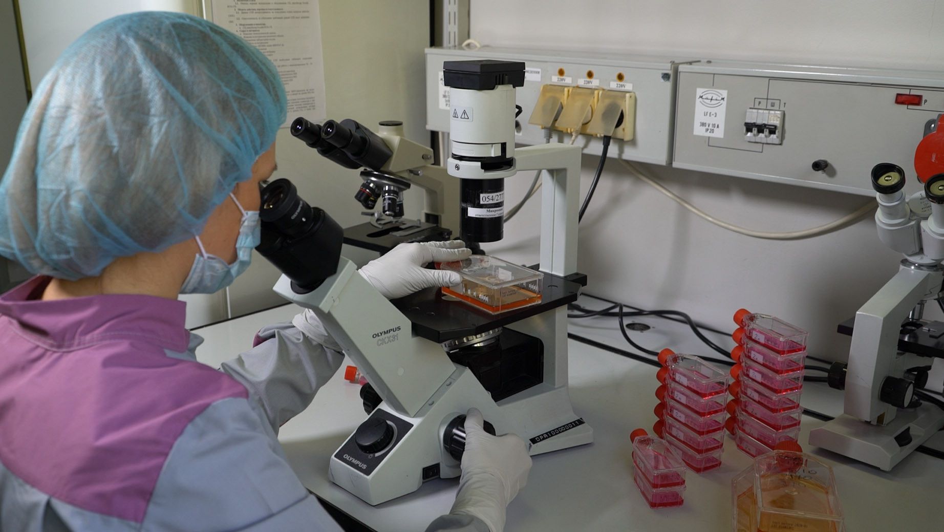 SEZ "Technopolis Moscow" increased vaccine production for animals by 43% in Q1 2025