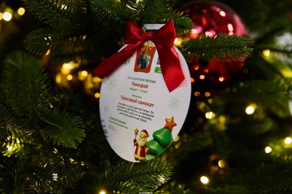 The charitable campaign "Kind Christmas Tree" was held at the Moscow Technopolis Special Economic Zone (SEZ)