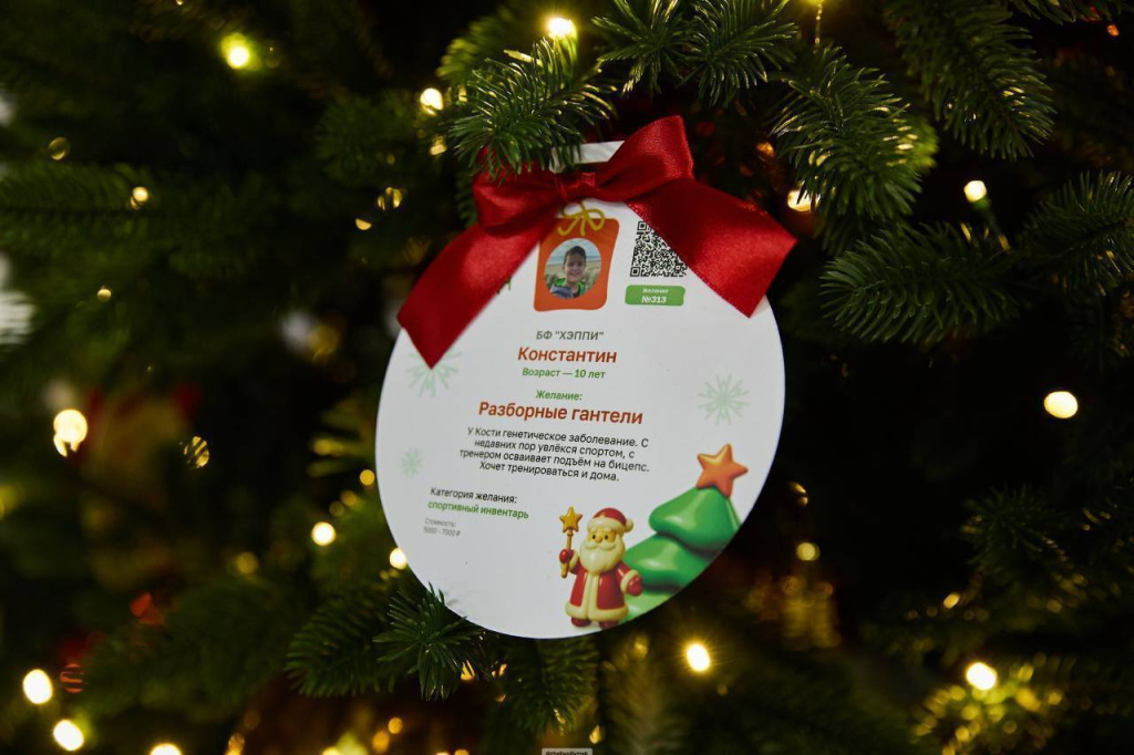 The charitable campaign "Kind Christmas Tree" was held at the Moscow Technopolis Special Economic Zone (SEZ)